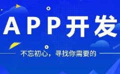 如何開發(fā)APP軟件，提高用戶體驗和吸引力？